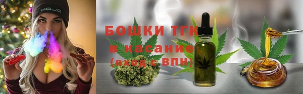 трава Арсеньев