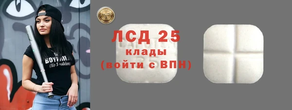 бошки Снежинск