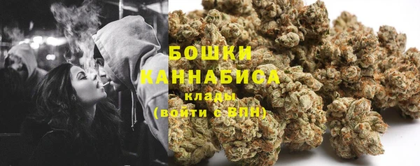 трава Арсеньев