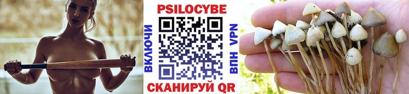 МЕГА вход  продажа наркотиков  маркетплейс как зайти  Псилоцибиновые грибы Psilocybine cubensis  Белореченск 