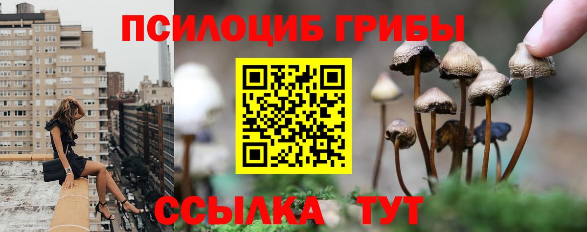 Белореченск  Галлюциногенные грибы Psilocybine cubensis  купить наркотик  Вход с VPN 