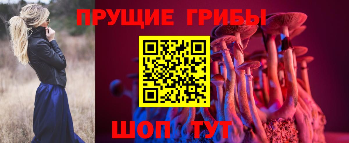 Псилоцибиновые грибы мицелий Белореченск