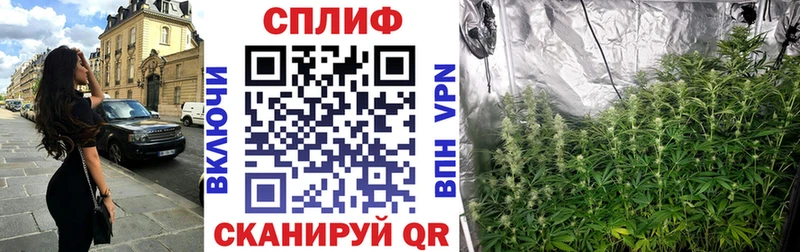 Канабис семена  где продают наркотики  Белореченск 